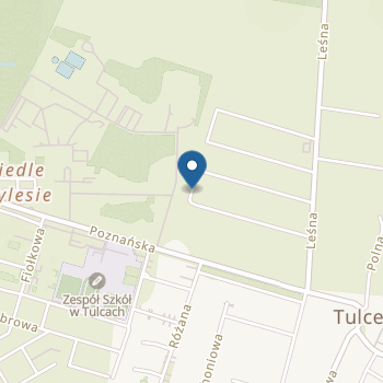 Niepubliczne Przedszkole Artystyczno-Plastyczne Plastyś na mapie