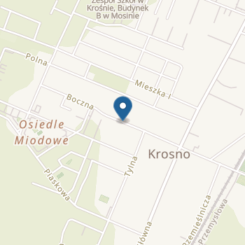 Przedszkole Publiczne Akademia Odkrywców w Krośnie na mapie
