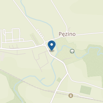 Niepubliczne Przedszkole Towarzystwa Przyjaciół Dzieci w Pęzinie na mapie