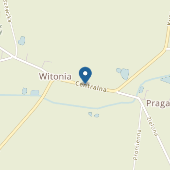 Niepubliczne Przedszkolne im. Małego Księcia w Witoni na mapie