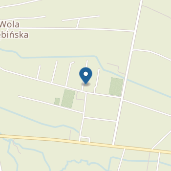 Niepubliczne Przedszkole "Złota Rybka" Thomas Sworniowski na mapie