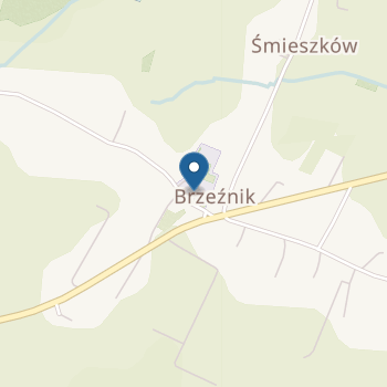 Przedszkole Publiczne w Brzeźniku na mapie