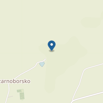 Punkt Przedszkolny nr 1 w Publiczej Szkole Podstawowej im. Juliana Tuwima w Czarnoborsku na mapie