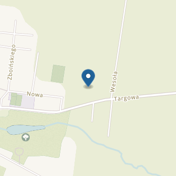 "Promyczek"Przedszkole Niepubliczne Dominika Popławska-Oleszczuk na mapie