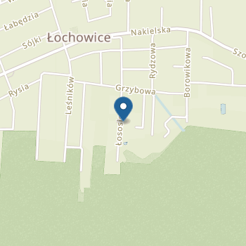 Przedszkole Niepubliczne "Iguś" w Łochowicach na mapie