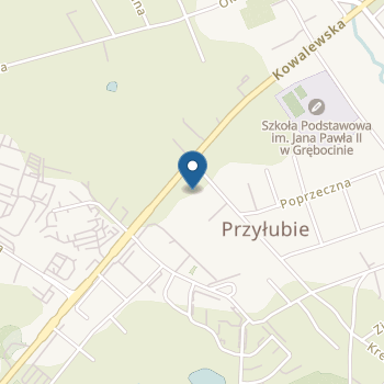 Prywatne Przedszkole Anglojęzyczne "Mały Miś" w Grębocinie na mapie