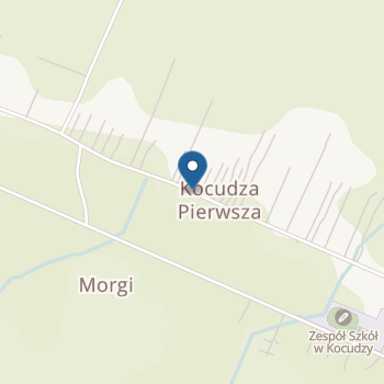 Publiczne Przedszkole w Kocudzy na mapie
