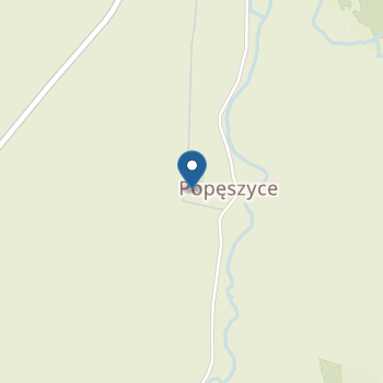 Niepubliczna Inna Forma Wychowania Przedszkolnego - "Przedszkolandia na Wzgórzach Dalkowskich" Punkt Przedszkolny w Popęszycach na mapie