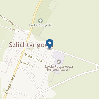 Przedszkole Samorządowe w Szlichtyngowej na mapie