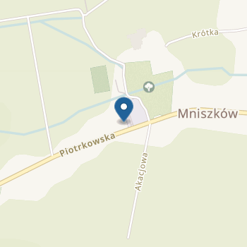 Punkt Przedszkolny przy Szkole Podstawowej w Mniszkowie na mapie