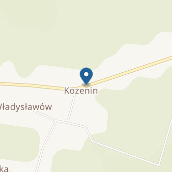 Punkt Przedszkolny z siedzibą w Publicznej Szkole Podstawowej w Kozeninie na mapie