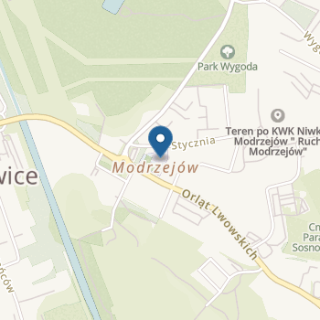 Przedszkole "Pajacyk" w Zespole Szkolno-Przedszkolnym "Modrzejów" w Sosnowcu na mapie