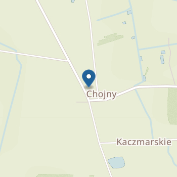 Przedszkole Stowarzyszenia Przyjaciół Szkół Katolickich w Chojnach na mapie