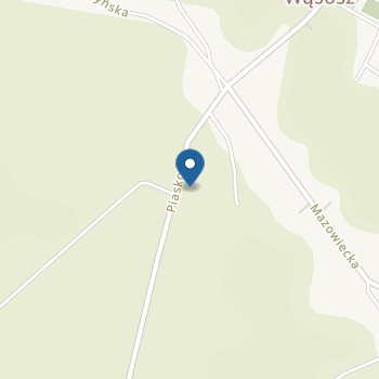 Punkt Przedszkolny nr 1 w Szkole Podstawowej w Wąsoszu na mapie