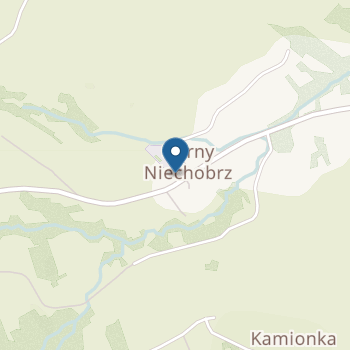 Punkt Przedszkolny Kubusiowa Polana w Niechobrzu na mapie