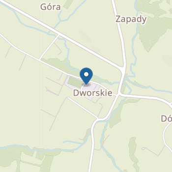 Punkt Przedszkolny przy Szkole Podstawowej im. Polskiego Czerwonego Krzyża w Dylągówce na mapie