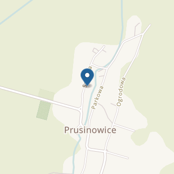 Zespół Szkół i Placówek Oświatowych Gminy Pakosławice Przedszkole w Prusinowicach na mapie