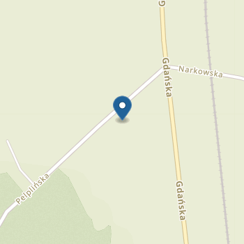 Niepubliczne Przedszkole "Leśna Kraina" w Wielgłowach na mapie