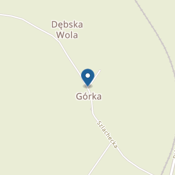 Punkt Przedszkolny w Dębskiej Woli na mapie