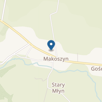 Punkt Przedszkolny w Szkole Podstawowej w Makoszynie na mapie