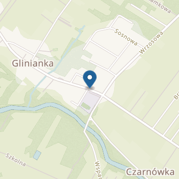 Niepubliczne Przedszkole Sportowe nr 1 Karolek na mapie