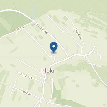 Publiczne Przedszkole w Płokach na mapie