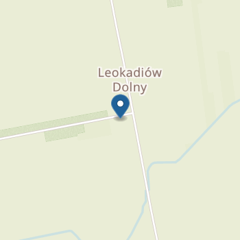 Publiczny Punkt Przedszkolny "Bajkowe Przedszkole" w Leokadiowie na mapie