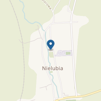 Niepubliczny Punkt Przedszkolny w Nielubi na mapie