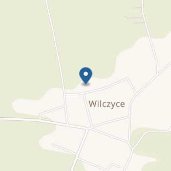 Punkt Przedszkolny w Wilczycach na mapie