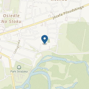 Miejskie Przedszkole w Działoszynie na mapie