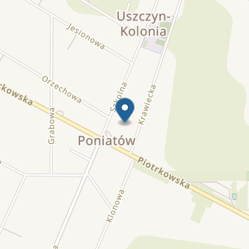Samorządowe Przedszkole w Poniatowie na mapie