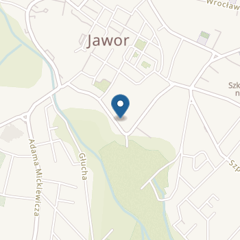 Przedszkole Publiczne nr 4 z Oddziałami Zamiejscowymi przy ul. Dmowskiego 5 na mapie