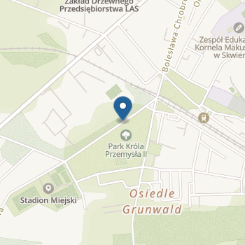 Przedszkole Kasztanowa Kraina na mapie