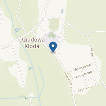 Przedszkole Publiczne w Dziadowej Kłodzie na mapie