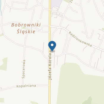 Przedszkole nr 12 na mapie