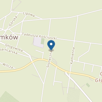 Publiczne Przedszkole nr 1 w Przemkowie na mapie