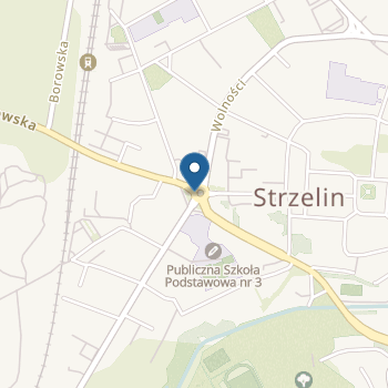 Przedszkole Miejskie w Strzelinie "Kolorowa Kraina" na mapie