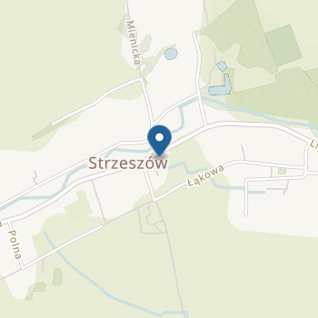 Przedszkole Publiczne w Strzeszowie na mapie