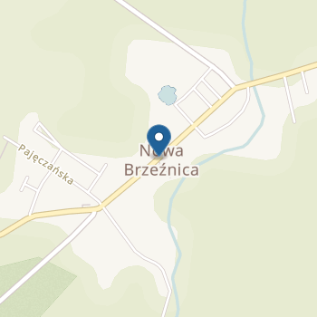 Publiczne Przedszkole w Nowej Brzeźnicy na mapie