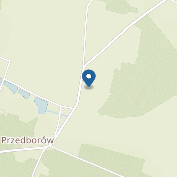 Publiczne Przedszkole w Przedborowej na mapie