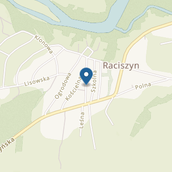Publiczne Przedszkole w Raciszynie na mapie