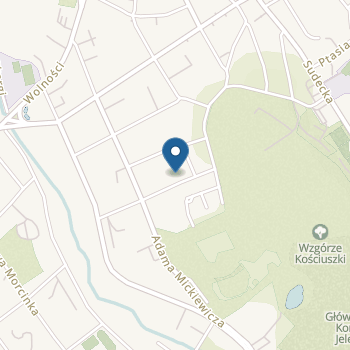Miejskie Przedszkole nr 4 w Jeleniej Górze na mapie