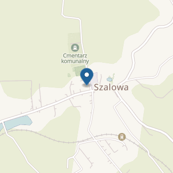 Samorządowe Przedszkole w Szalowej na mapie