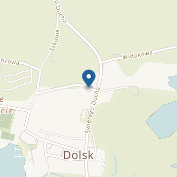 Przedszkole "Stokrotki" w Dolsku na mapie