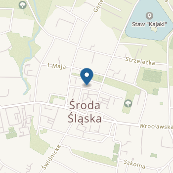 Niepubliczne Przedszkole Sióstr Salezjanek na mapie