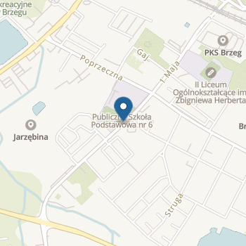 Przedszkole Publiczne nr 10 na mapie