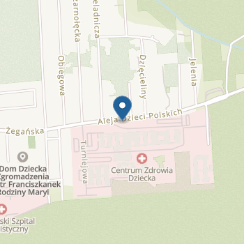 Przedszkole Specjalne nr 104 w Instytucie "Pomnik - Centrum Zdrowia Dziecka" na mapie