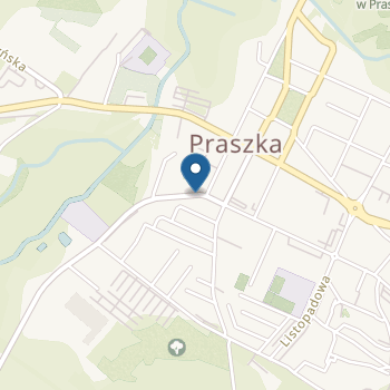 Publiczne Przedszkole nr 3 w Praszce na mapie