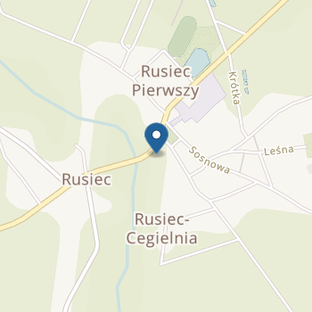 Publiczne Przedszkole w Zespole Szkolno-Przedszkolnym w Ruścu na mapie