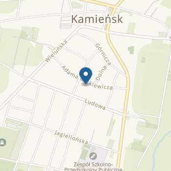 Publiczne Przedszkole w Kamieńsku na mapie